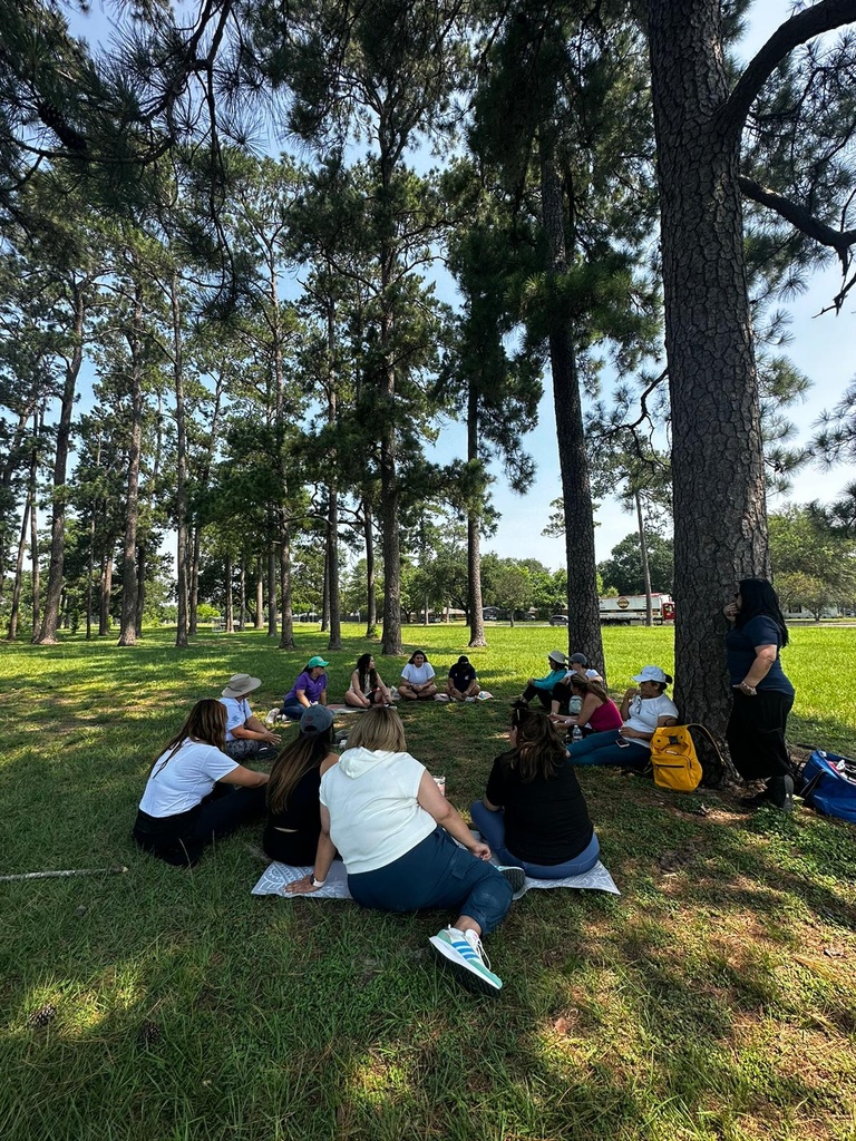 Terapia de bosque
