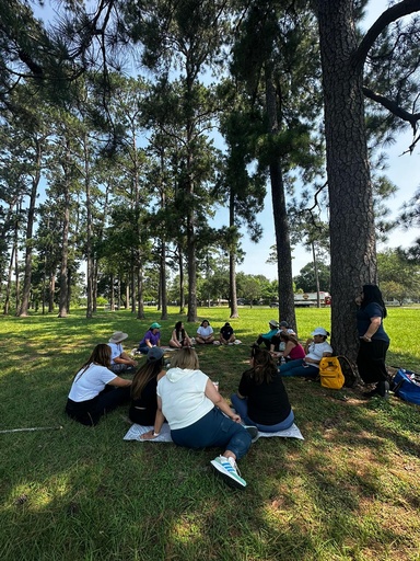 Terapia de bosque